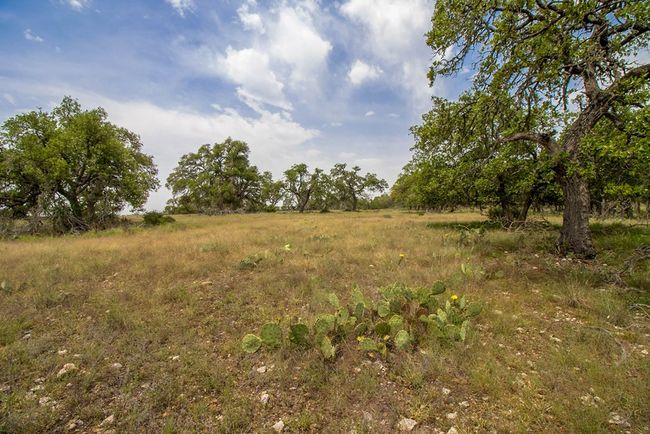 5 - 661 Stevens Ranch Rd, Home with 0 bedrooms, 0 bathrooms and null parking in Harper TX | Image 8