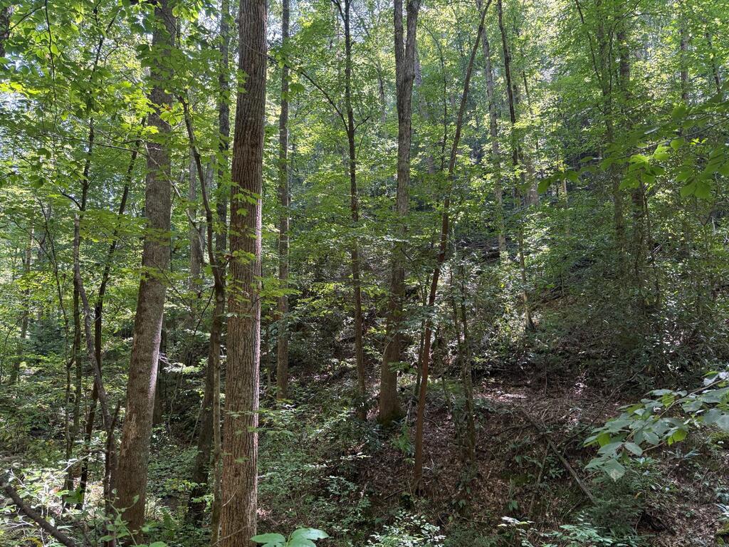 Land in Andrews 3