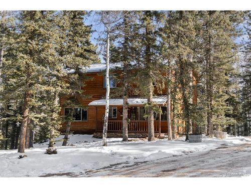 4076 Omer Ln, Divide, CO, 80814-8817 | Card Image