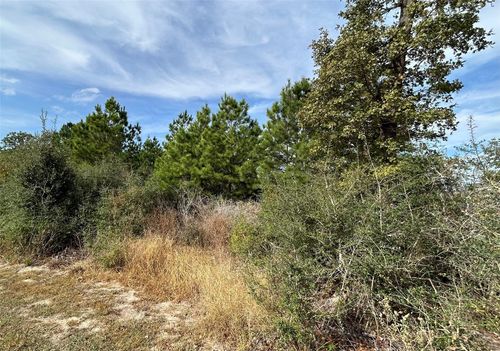 TBD Jim Bowie Dr, Paige, TX, 78659 | Card Image