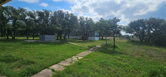 View of green lawn | Image 21