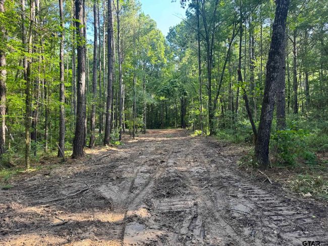 Tract 3B Cr 2322, Home with 0 bedrooms, 0 bathrooms and null parking in Rusk TX | Image 6