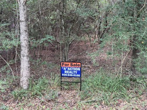 TBD Mockingbird Hls, Livingston, TX, 77351 | Card Image