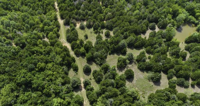 Bird's eye view | Image 38