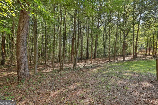 8444 Forrest Rd, House other with 3 bedrooms, 2 bathrooms and 2 parking in Grantville GA | Image 24