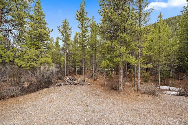 Land & Driveway | Image 37