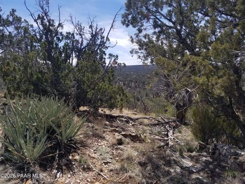 446 Arizona Rd, Ash Fork, AZ, 86320 | Card Image