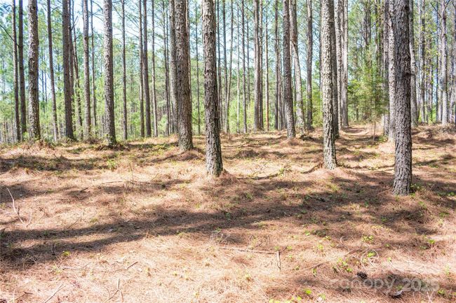 69 - 144 Whispering Pines Ln, Home with 0 bedrooms, 0 bathrooms and null parking in Mooresboro NC | Image 9