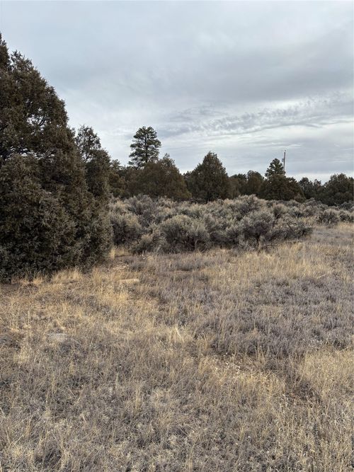 2 Parkview Hills, Los Ojos, NM, 87551 | Card Image