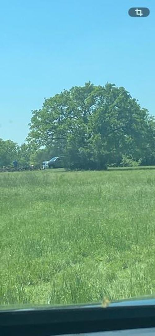 21174 Harrison Dr, Bedias, TX, 77831-5342 | Card Image