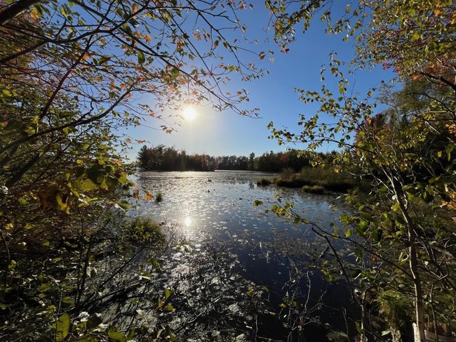 N10497 E Solberg Lake Rd, House other with 3 bedrooms, 4 bathrooms and 4 parking in PHILLIPS WI | Image 33