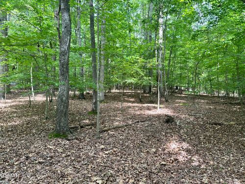Tract 8 Woods Ridge Road, Dandridge, TN, 37725 | Card Image