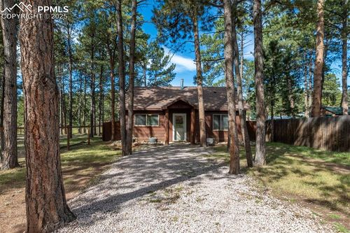 509 Dallas Aly, Woodland Park, CO, 80863-1165 | Card Image