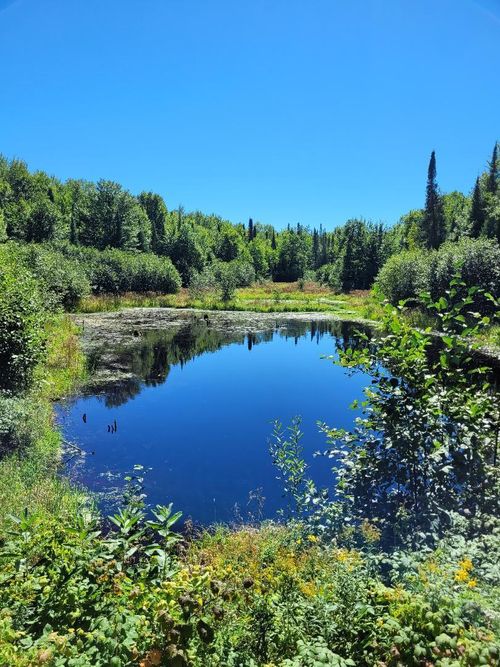 5 Happy Acres Rd, Tony, WI, 54563 | Card Image