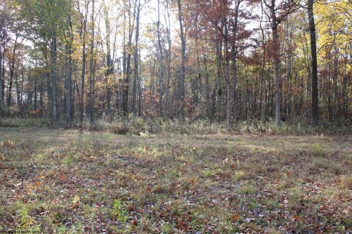 Lot 7 Cascade Rd, Masontown, WV, 26542 | Card Image