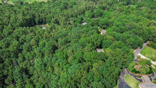 1631 Burk Dr Nw, House other with 4 bedrooms, 4 bathrooms and null parking in Fort Payne AL | Image 47