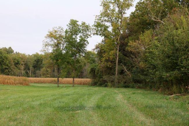 0 Columbus Rd, Home with 0 bedrooms, 0 bathrooms and null parking in Mount Vernon OH | Image 4