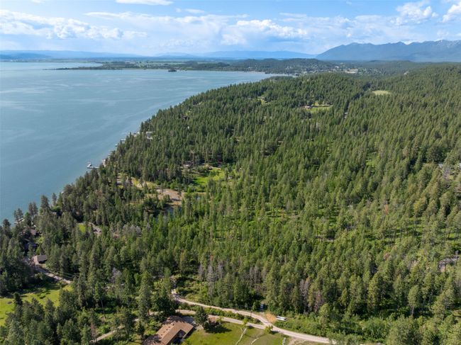 Aerial view of property and surrounding area with a forest and a water and mountain view | Image 85