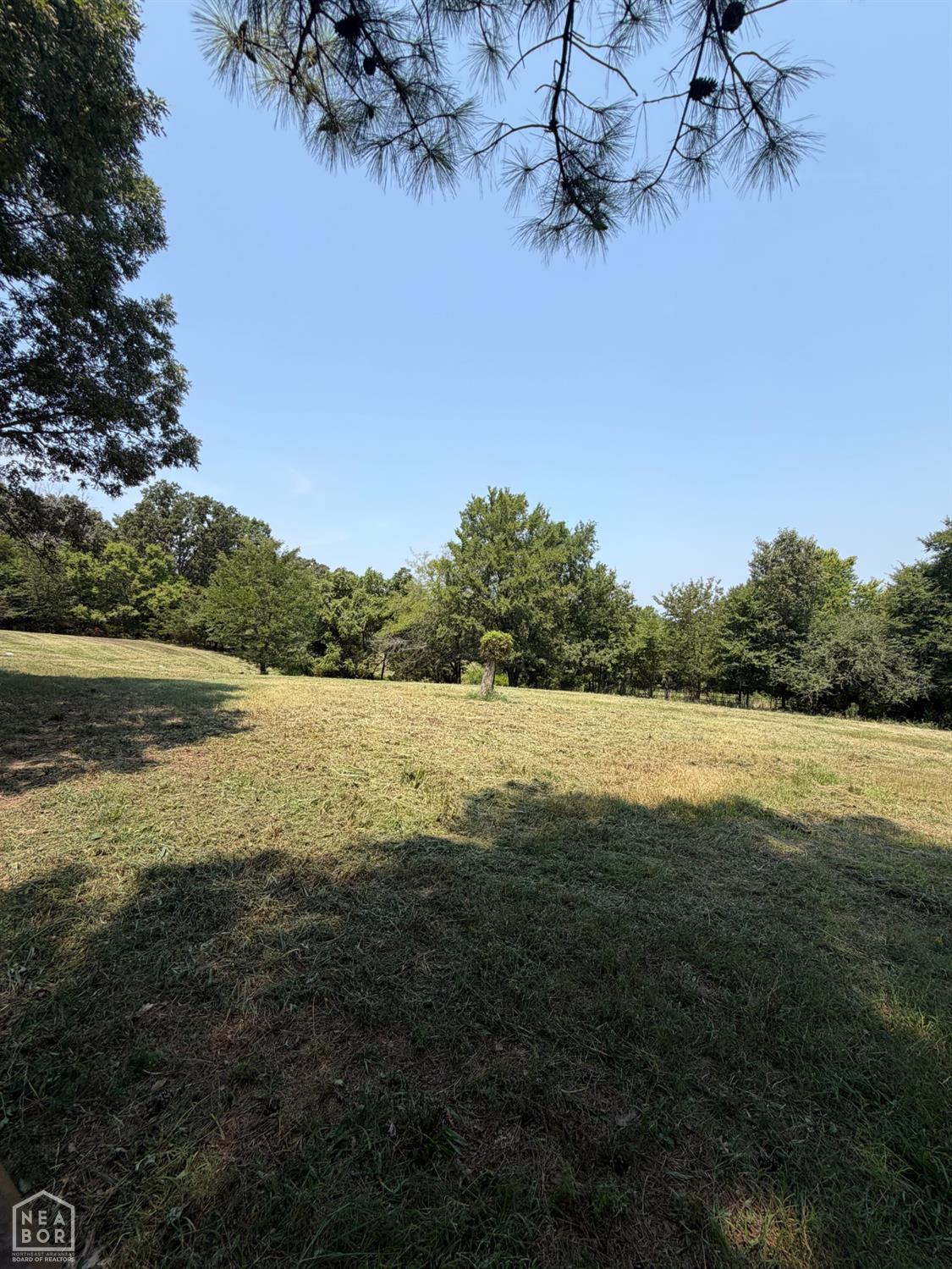 Residential in Paragould 2