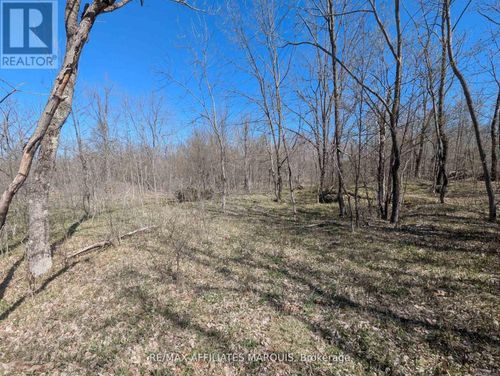 0 Little Crosby Lake Rd, Westport, ON, K0G1X0 | Card Image