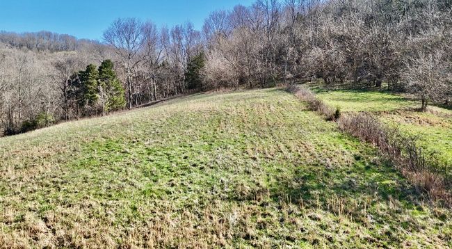 0 Browning Branch Rd, Home with 0 bedrooms, 0 bathrooms and null parking in Bethpage TN | Image 11