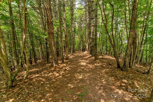 62 - 159 Deerberry Dr, Home with 0 bedrooms, 0 bathrooms and null parking in Nebo NC | Image 13