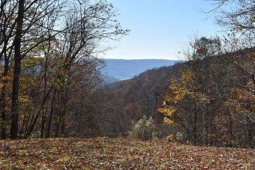 1454 Stage Coach Rd, Sewanee, TN, 37375-6033 | Card Image