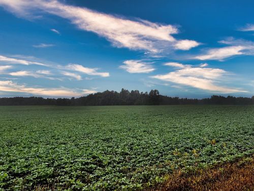 0 Township Road 114, Mount Gilead, OH, 43338 | Card Image