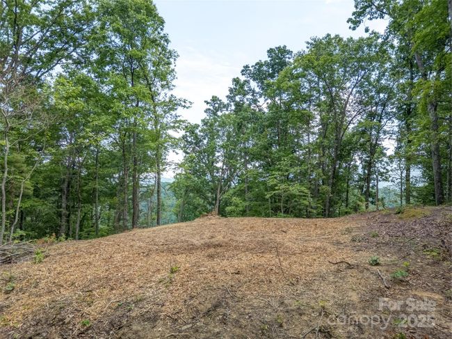 000 White Rock Branch Rd, Home with 0 bedrooms, 0 bathrooms and null parking in Candler NC | Image 9