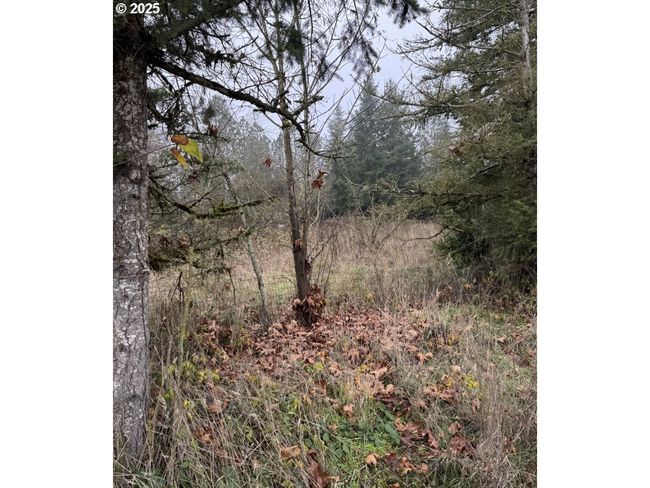 12192 S Mulino Rd, House other with 3 bedrooms, 1 bathrooms and null parking in Canby OR | Image 21
