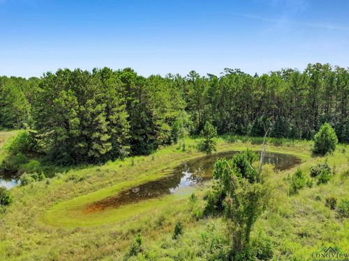 TBD Us Highway 96 S, Kirbyville, TX, 75956 | Card Image