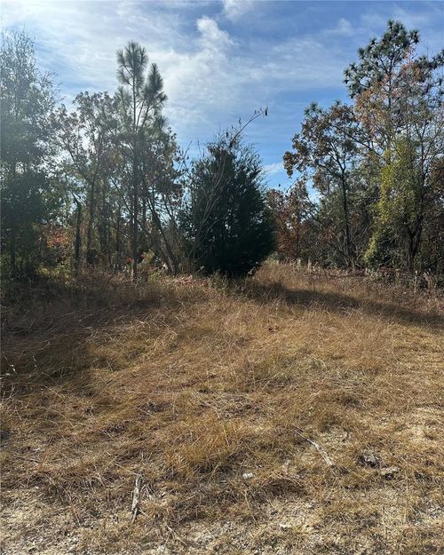 Lot 2 Ne 151st Ter, Williston, FL, 32696 | Card Image