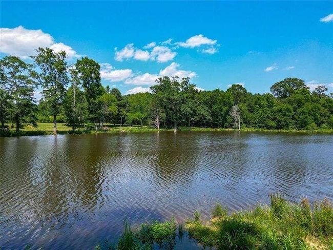 204 George Rd Sw, Home with 0 bedrooms, 0 bathrooms and null parking in Cave Spring GA | Image 29