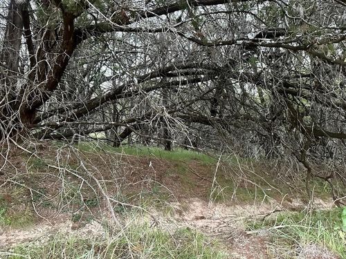 21402 Highland Lake Dr, Lago Vista, TX, 78645-2265 | Card Image