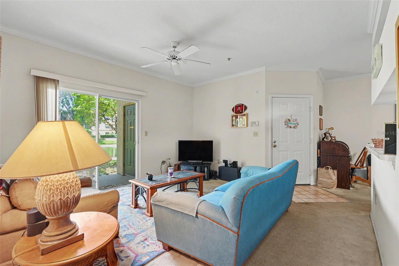 Residential in TAMPA 5