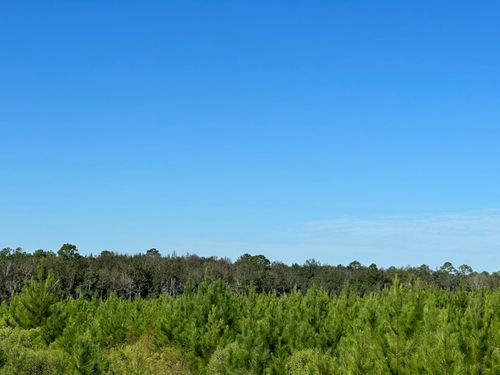 Parcel E Millside Rd, Laurel Hill, FL, 32567 | Card Image