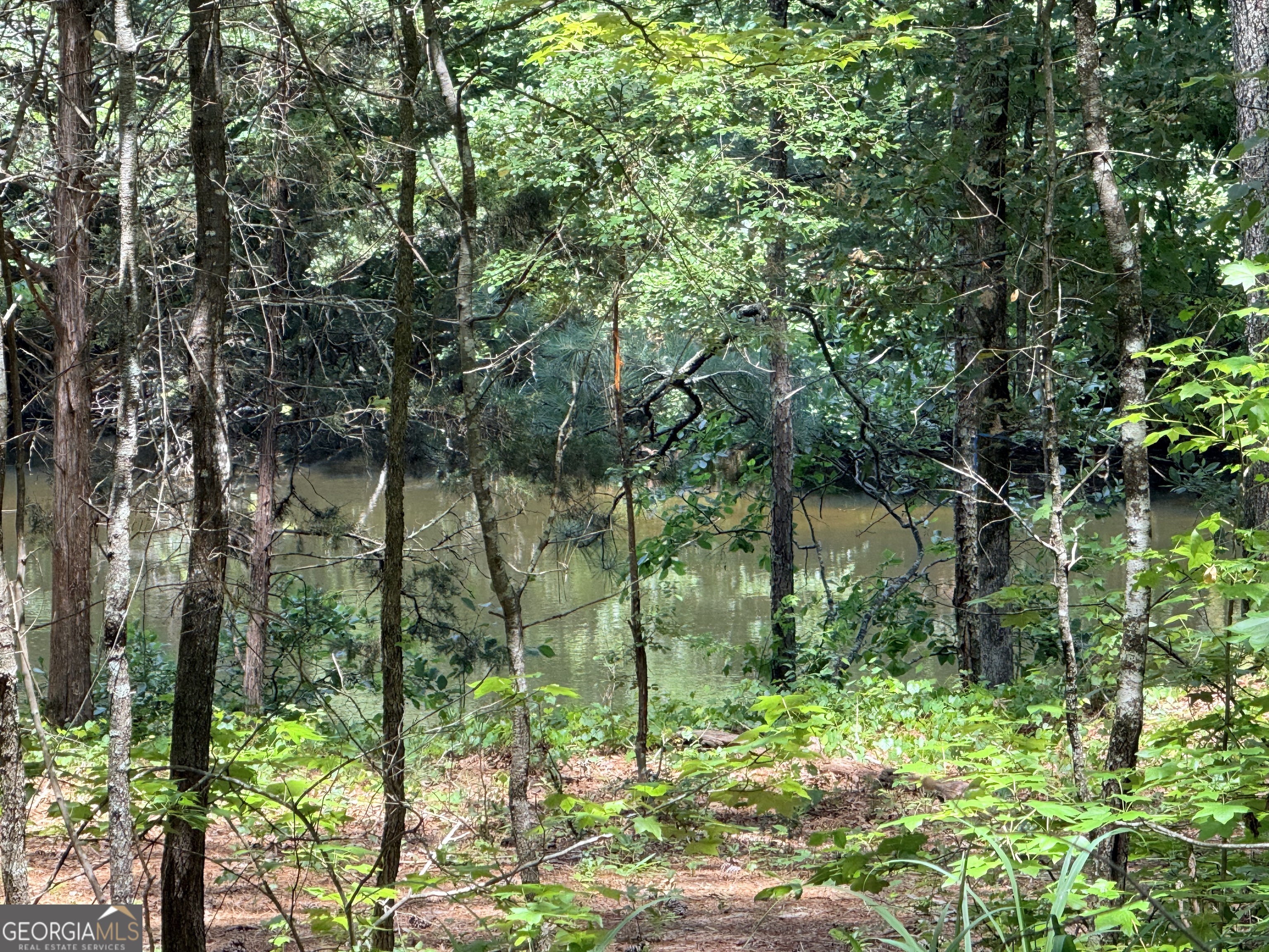 Land in Snellville 3