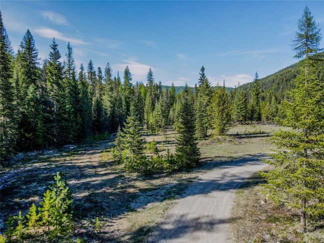 View of road featuring a forest view | Image 59