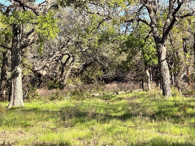 Lot 13 Cr 127, Home with 0 bedrooms, 0 bathrooms and null parking in Carlton TX | Image 33