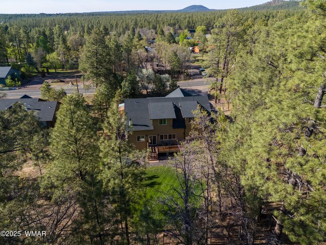 DJI_20250515170217_0298_D-HDR | Image 4
