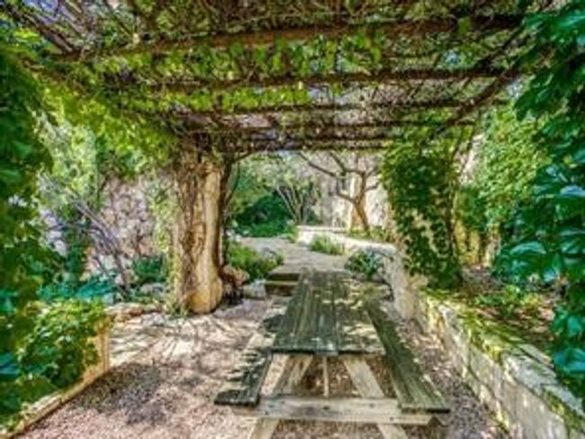 Courtyard picnic area | Image 34