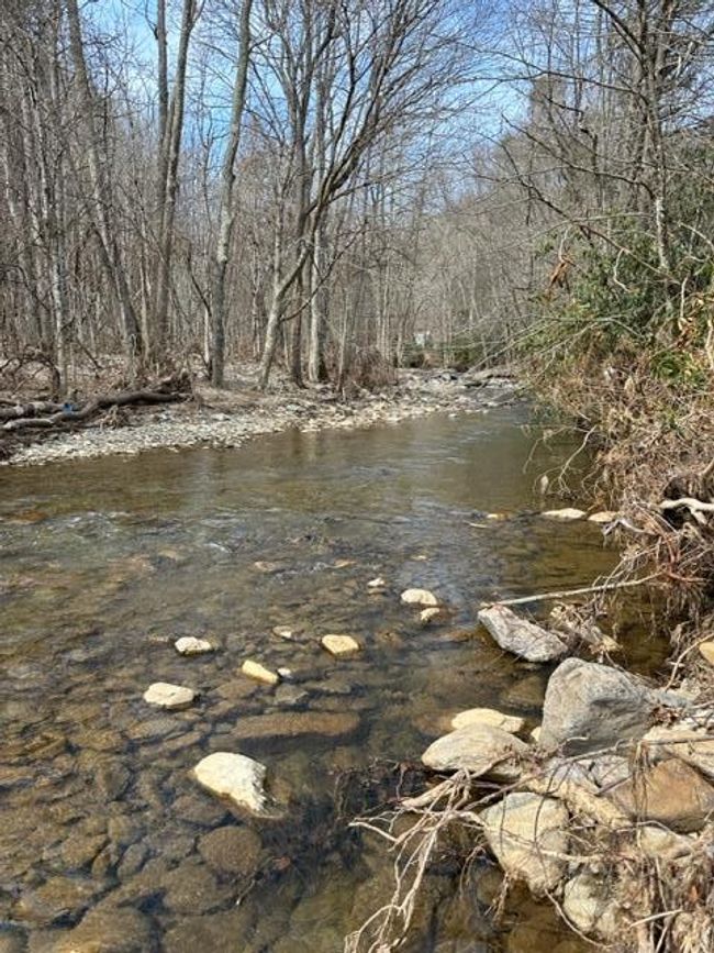 267 Sturgills Rd, House other with 3 bedrooms, 3 bathrooms and null parking in Mouth of Wilson VA | Image 84