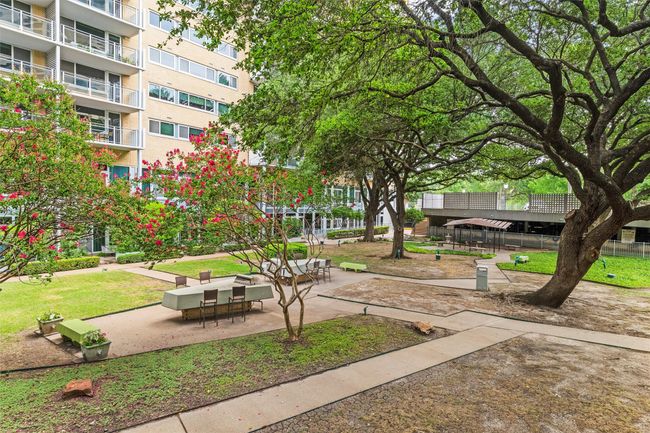 Green Space | Image 22