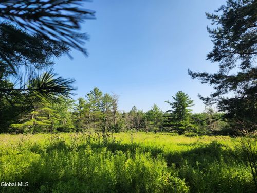 30 Skyline Dr, Delanson, NY, 12053 | Card Image