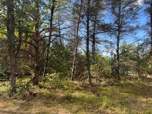 Lot 44 Wobbler, South Branch Township, MI, 48653 | Card Image