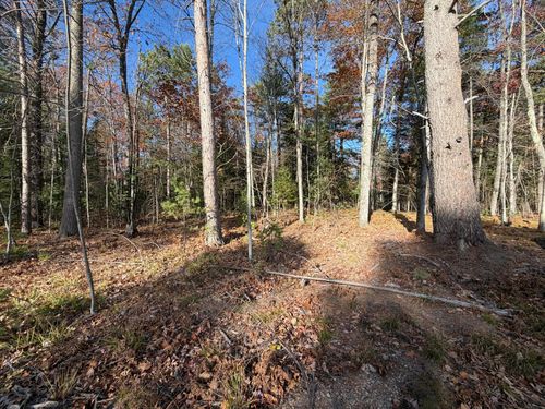 1.51 ac Madeline Ln, Eagle River, WI, 54521 | Card Image