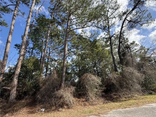 TBD Se 190th Ave, Silver Springs, FL, 34488 | Card Image