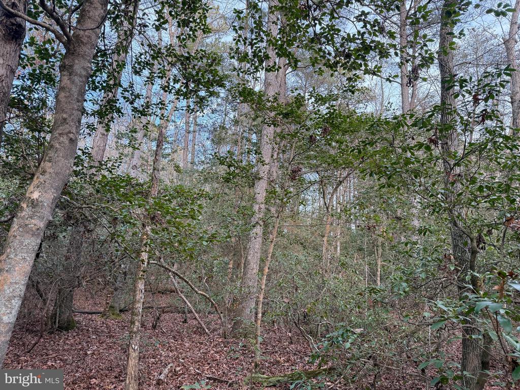 Land in VALLEY LEE