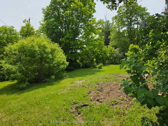 1537 Tulip Rd, House other with 2 bedrooms, 1 bathrooms and 4 parking in Algonquin Highlands ON | Image 35