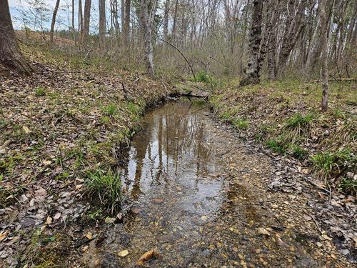 56 S James River Hwy, Buckingham, VA, 23921 | Card Image